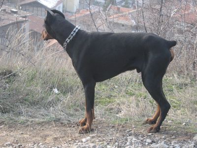 Прикачена снимка