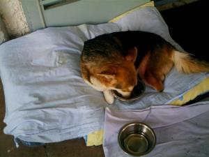Прикачена снимка