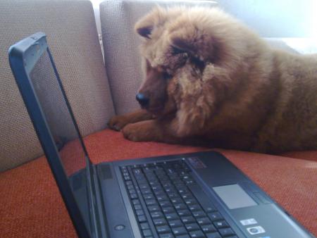 Прикачена снимка