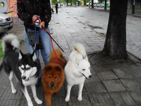 Прикачена снимка