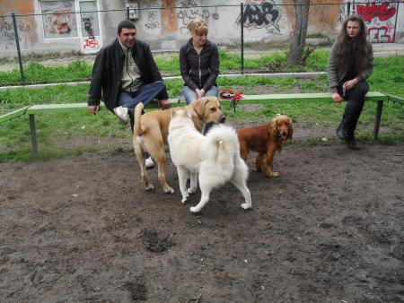 Прикачена снимка