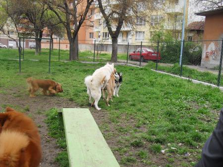 Прикачена снимка