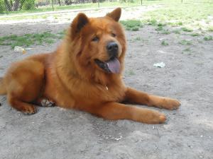 Прикачена снимка