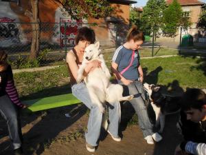 Прикачена снимка