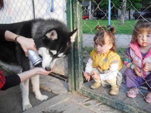 Прикачена снимка