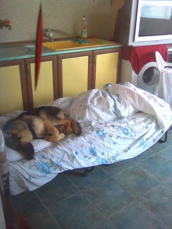 Прикачена снимка