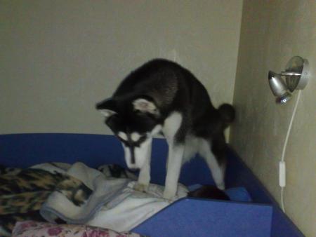 Прикачена снимка