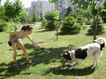 Прикачена снимка
