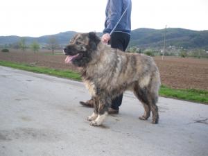 Прикачена снимка