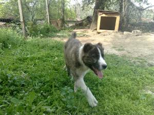 Прикачена снимка