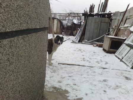 Прикачена снимка