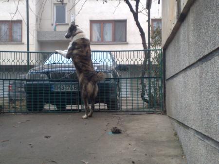 Прикачена снимка
