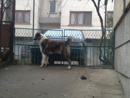 Прикачена снимка