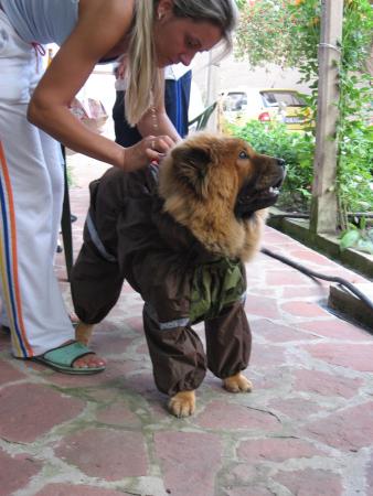 Прикачена снимка