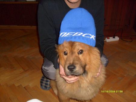 Прикачена снимка