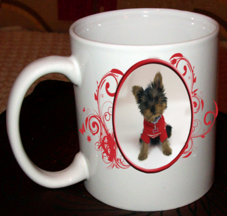 Прикачена снимка