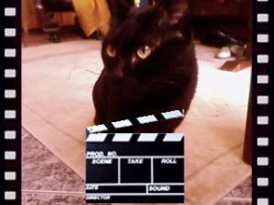 Прикачена снимка