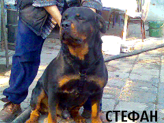 Прикачена снимка