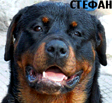 Прикачена снимка