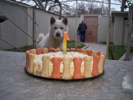 Прикачена снимка