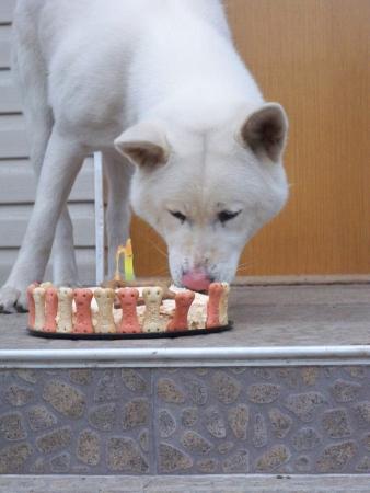 Прикачена снимка
