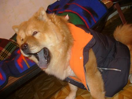 Прикачена снимка