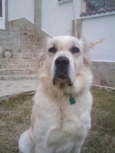 Прикачена снимка
