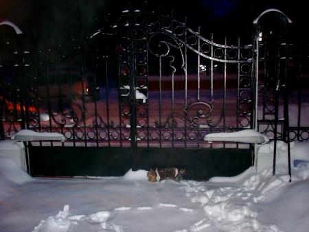Прикачена снимка