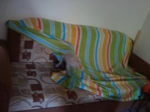 Прикачена снимка