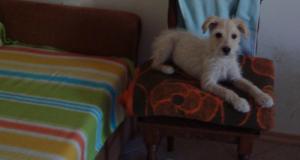 Прикачена снимка