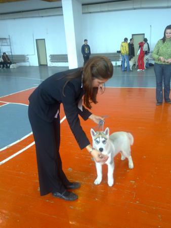 Прикачена снимка