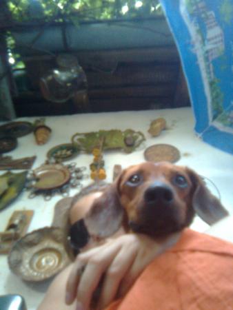 Прикачена снимка