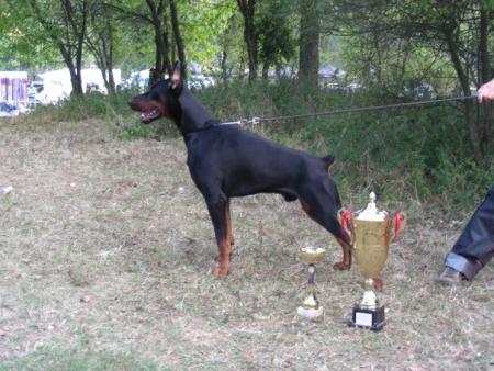 Прикачена снимка