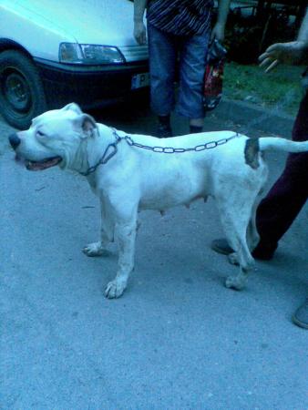 Прикачена снимка