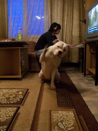 Прикачена снимка