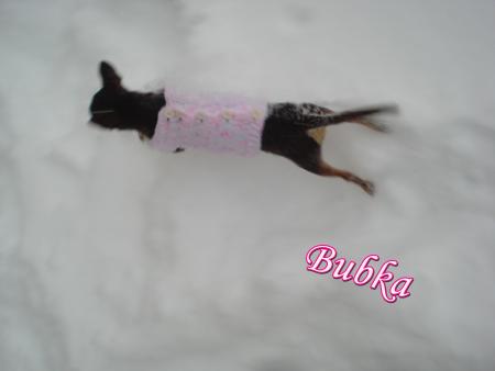 Прикачена снимка