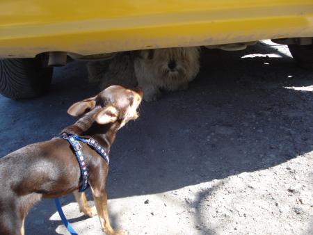 Прикачена снимка