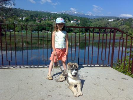 Прикачена снимка