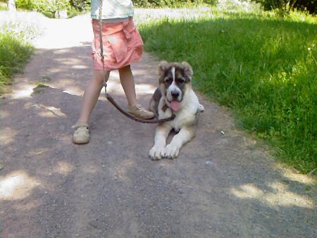 Прикачена снимка