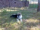 Прикачена снимка