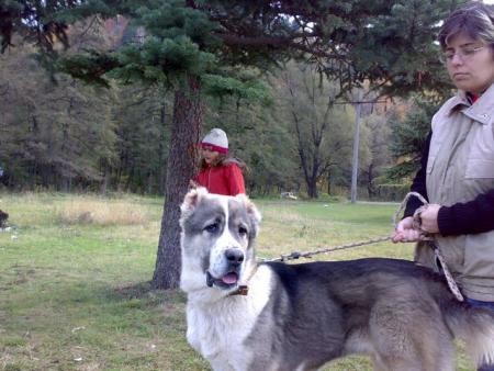 Прикачена снимка