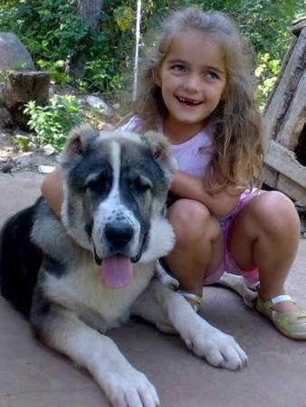 Прикачена снимка