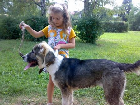 Прикачена снимка