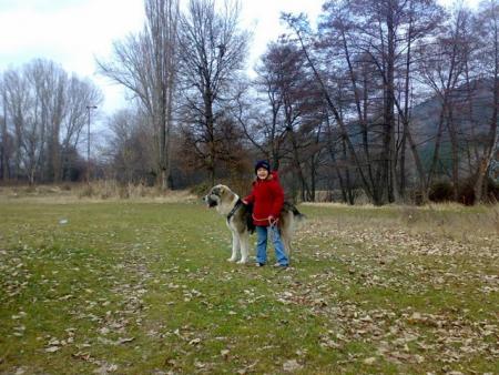 Прикачена снимка