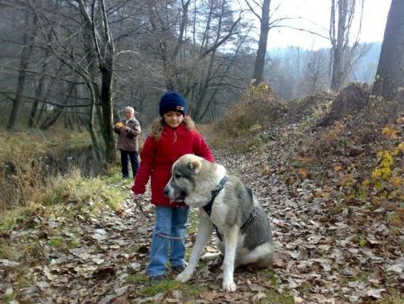 Прикачена снимка