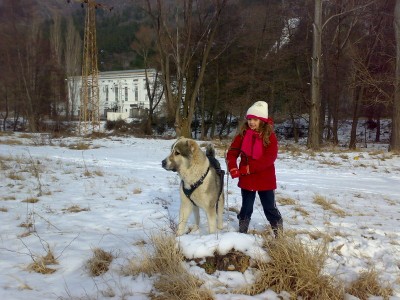 Прикачена снимка