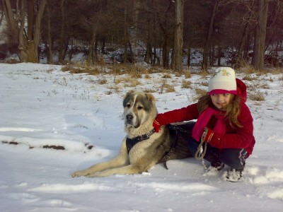 Прикачена снимка