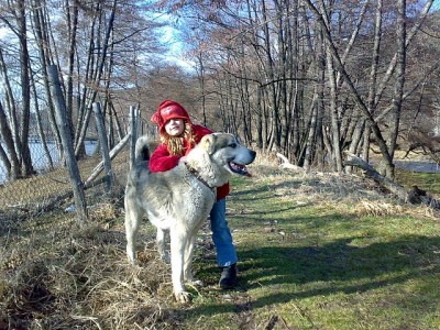 Прикачена снимка