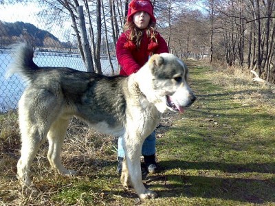 Прикачена снимка