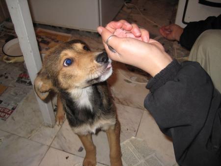 Прикачена снимка
